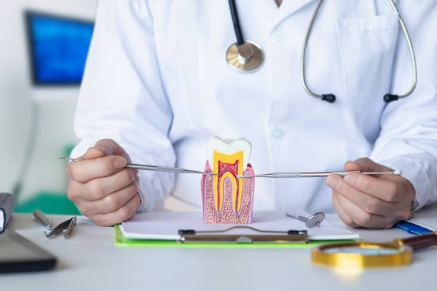 Best Root Canal Emergency Dentist  in Silver Grove, KY